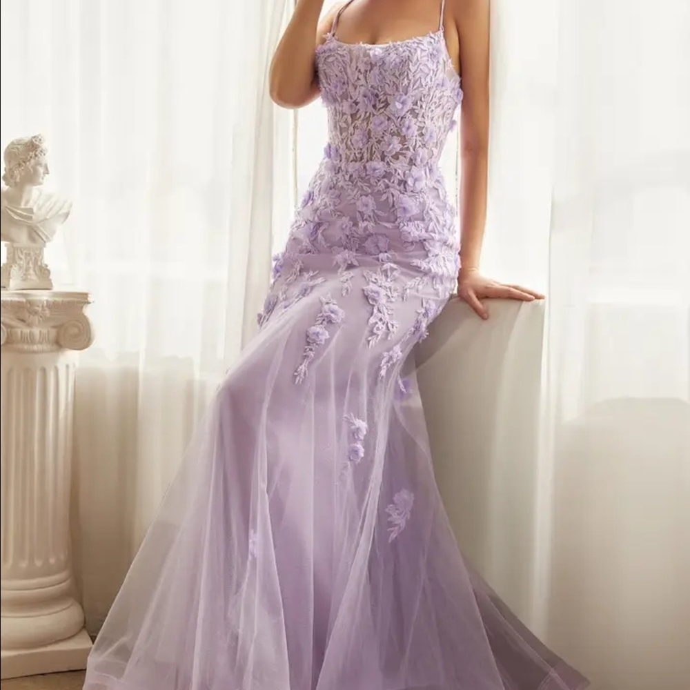 Light Lavender Fitted Floral Applique Tulle Gown